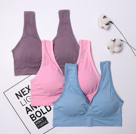 Sports Bra in Multiple Colors