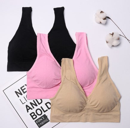Sports Bra in Multiple Colors