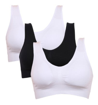 Sports Bra in Multiple Colors